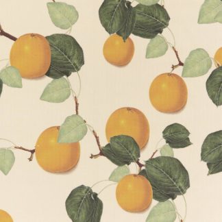 Oranges, leaves, wallpaper, deco, botanical, illustration, herringbone pattern,textiles, linen, printed, green, black,deco, house, Maria Sybilla Merian,non-woven matt paper, organic, sustainable, forest, interior design