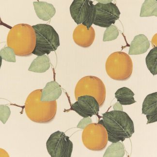 Oranges, leaves, wallpaper, deco, botanical, illustration, herringbone pattern,textiles, linen, printed, green, black,deco, house, Maria Sybilla Merian,non-woven matt paper, organic, sustainable, forest, interior design