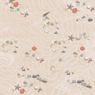 Seashore