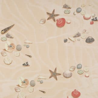 Seashore