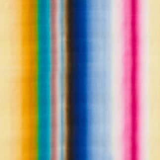 DAGOBERT PECHE REGENBOGEN