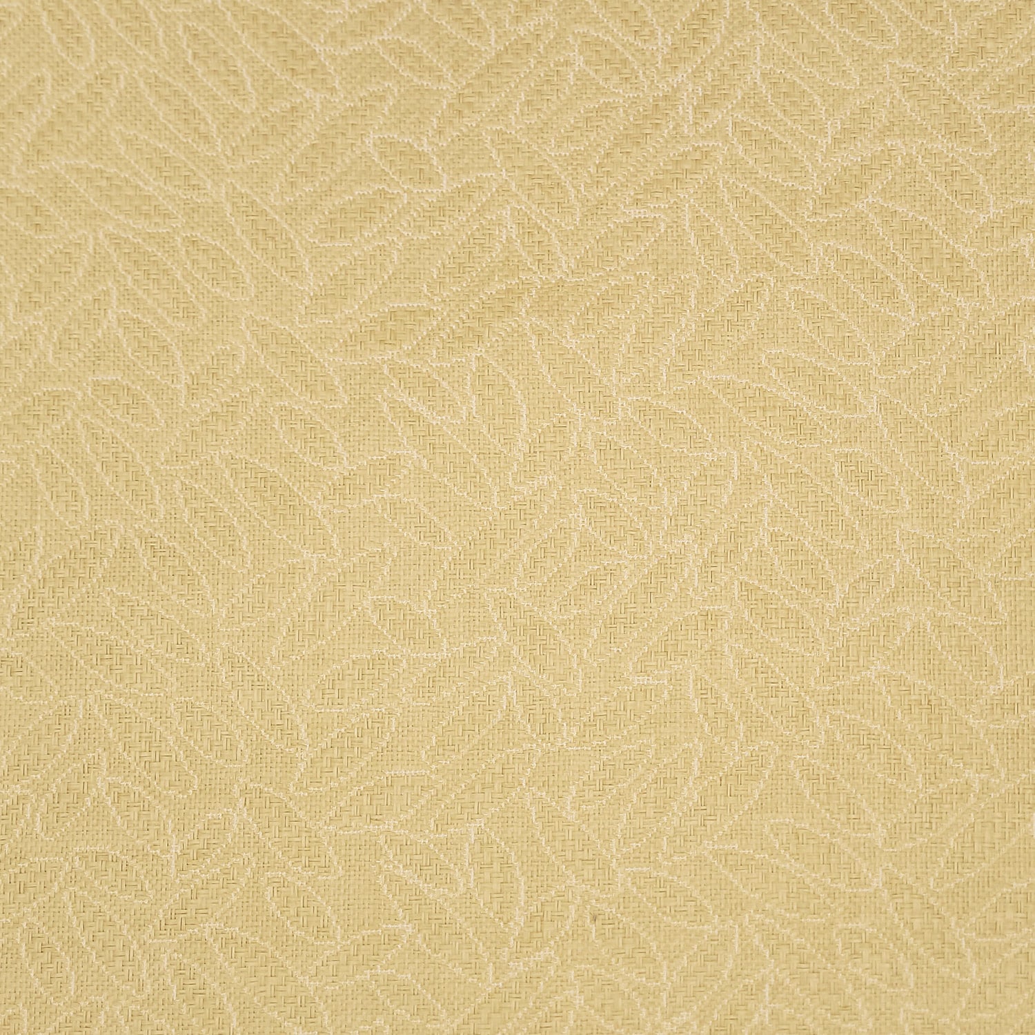 CANOPY - Image 2
