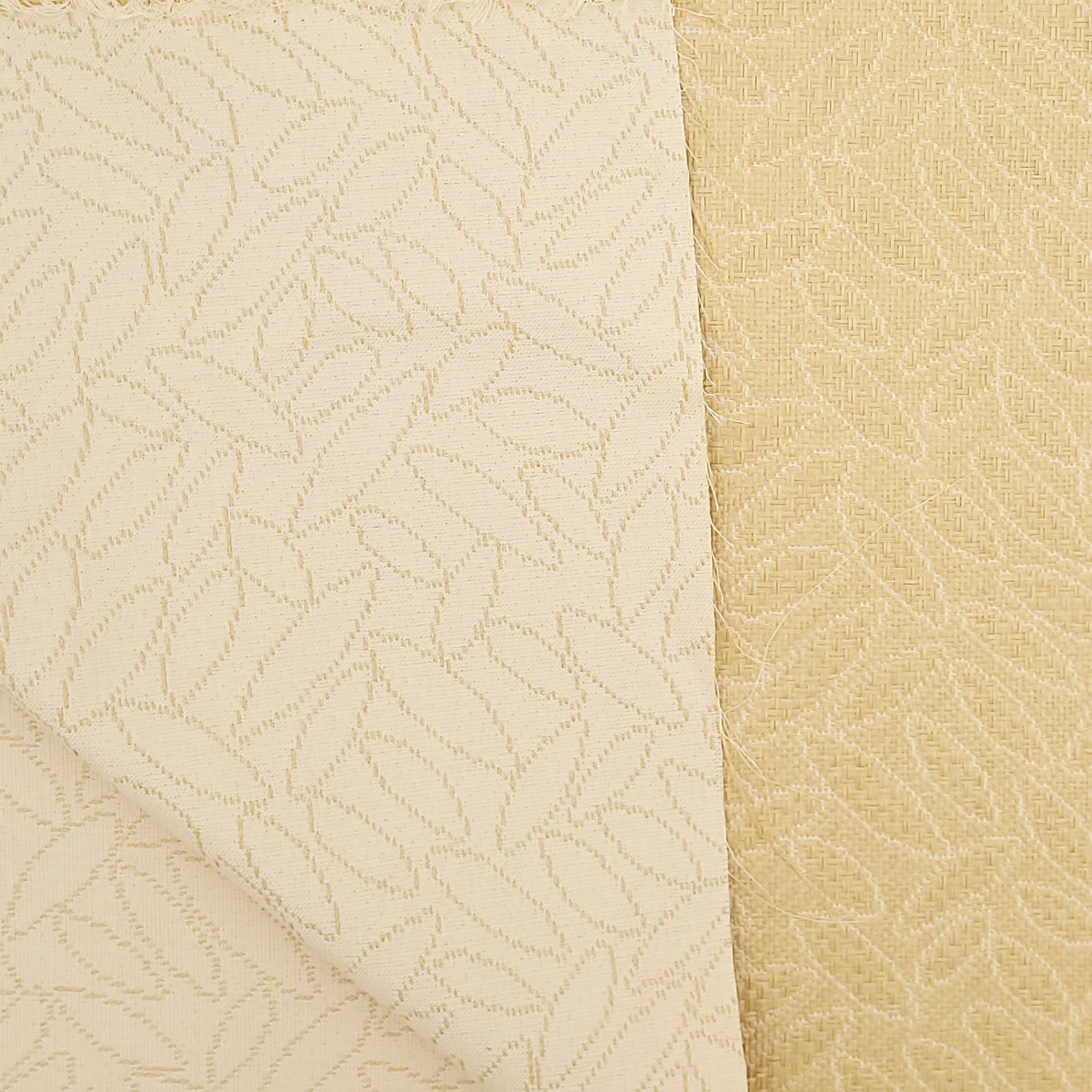 CANOPY - Image 4