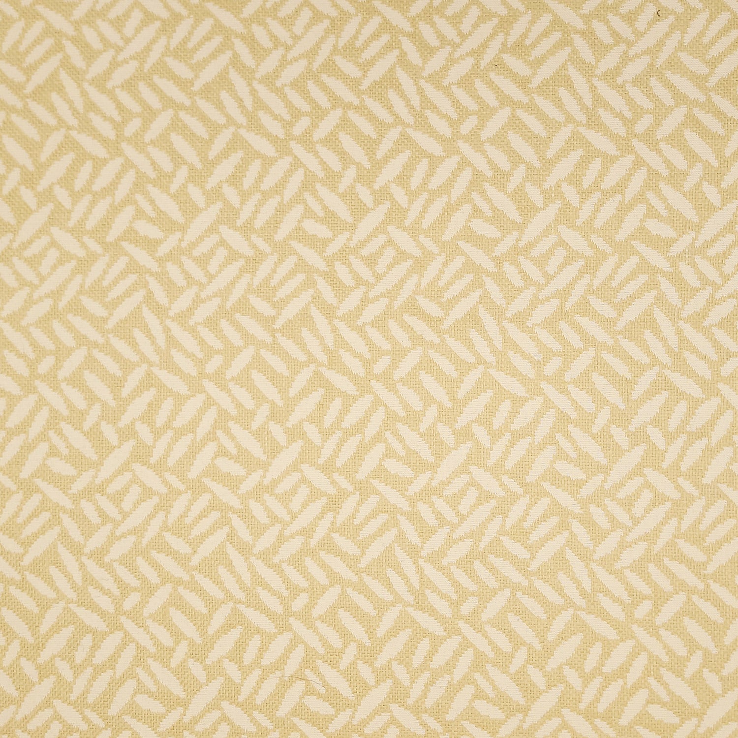 FOLIAGE - Image 2