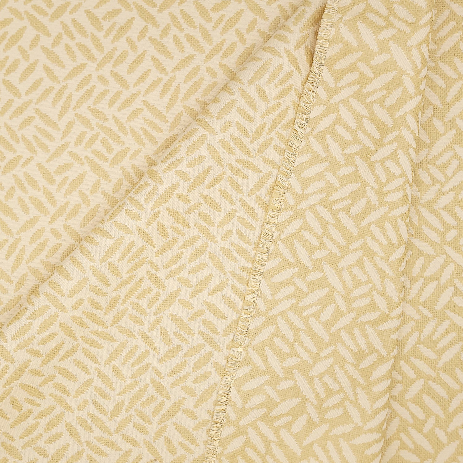 FOLIAGE - Image 5